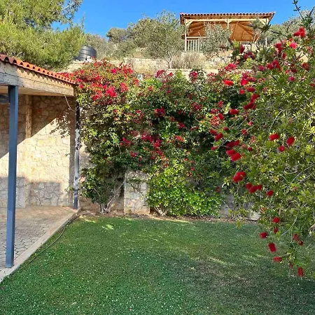 Villa Afroditi Kalivia Thorikou Exterior photo