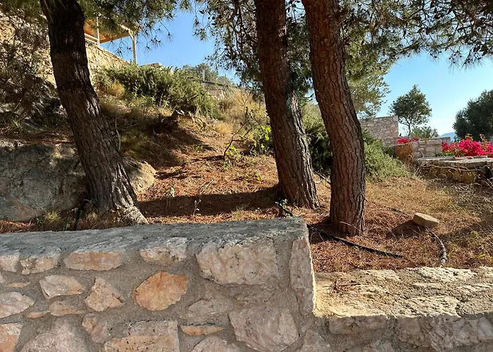 Villa Afroditi